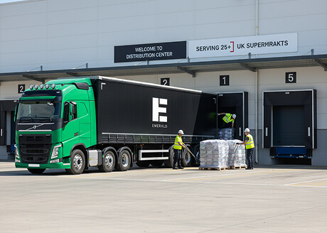 abstract art piece with dynamic shapes and colorful gradients